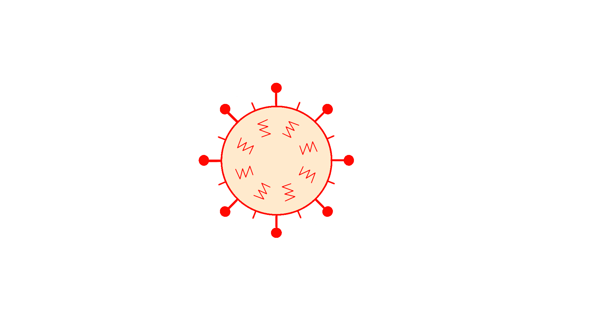 The illustration for influenza mutation
