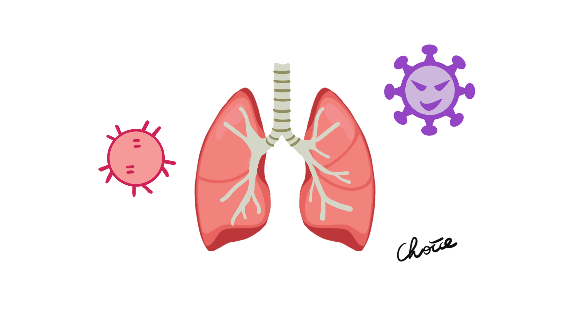Animation of airway inflammation.