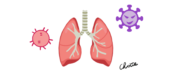 Animation of airway inflammation.